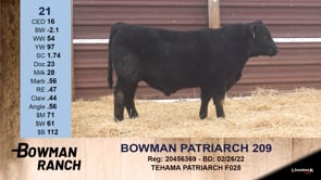 Lot #21 - BOWMAN PATRIARCH 209