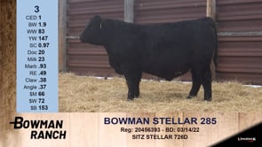 Lot #3 - BOWMAN STELLAR 285