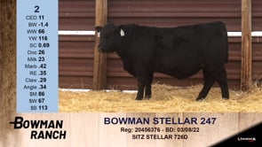 Lot #2 - BOWMAN STELLAR 247