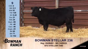 Lot #9 - BOWMAN STELLAR 236