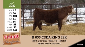 Lot #22K - B 033 CUDA KING 22K