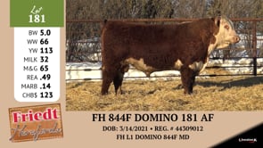 Lot #181 - FH 844F DOMINO 181 AF