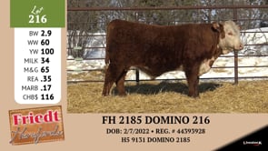 Lot #216 - FH 2185 DOMINO 216