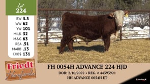 Lot #224 - FH 0054H ADVANCE 224 HJD