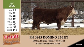 Lot #236 - AF B GENESIS 244 ET