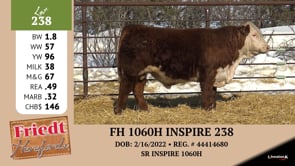 Lot #238 - FH 9102G ADVANCE 234 LC
