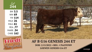 Lot #244 - AF B G16 GENESIS 244 ET