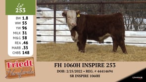 Lot #253 - FH 799 DOMINO 250
