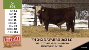 Lot #262 - FH 1060 INSPIRE 259