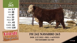 Lot #263 - FH 242 NAVARRO 262 LC
