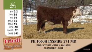 Lot #271 - FH 993G DOMINO 270