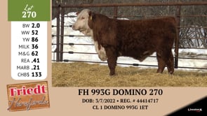 Lot #270 - FH 242 NAVARRO 268 BA