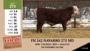 Lot #275 - FH 242 NAVARRO 275 MD