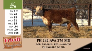 Lot #276 - FH 242 AVA 276