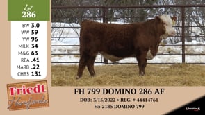 Lot #286 - FH 799 DOMIO 286 AF