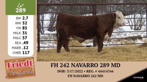 Lot #289 - FH 242 NAVARRO 289 MD