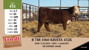 Lot #432 - B 788 1060 KRISTA 432K