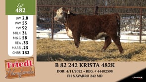 Lot #482 - B 82 242 KRISTA 482K