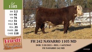 Lot #1103 - FH 242 AVARRO 1103 MD