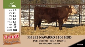 Lot #1106 - FH 242 NAVARRO 1106 HDD