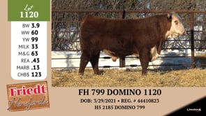 Lot #1120 - FH 799 DOMINO 1120