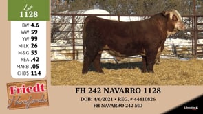 Lot #1128 - FH 242 NAVARRO 1128