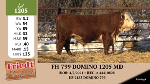 Lot #1205 - FH 799 DOMINO 1205 MD