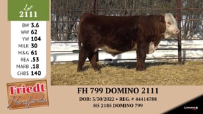 Lot #2111 - FH 799 DOMIONO 2111