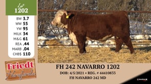 Lot #1202 - FH 242 NAVARRO 1202