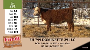 Lot #291 - FH 799 DOMINETTE 291 LC