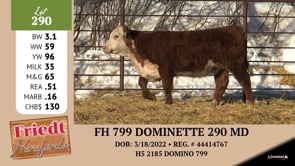 Lot #290 - FH 799 DOMINETTE 290 MD