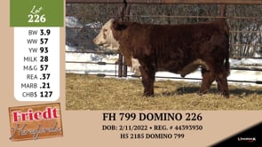 Lot #226 - FH 799 DOMINO 226