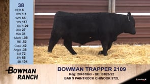 Lot #38 - BOWMAN TRAPPER 2109