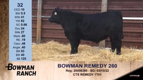 Lot #32 - BOWMAN REMEDY 260