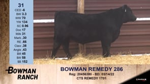 Lot #31 - BOWMAN REMEDY 286