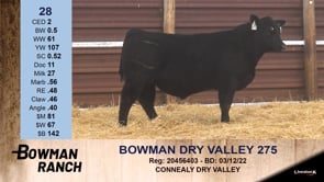 Lot #28 - BOWMAN DRY VALLEY 275
