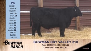 Lot #26 - BOWMAN DRY VALLEY 210