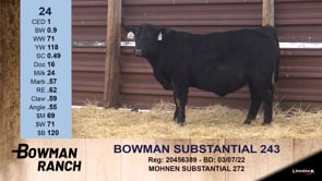 Lot #24 - BOWMAN SUBSTANTIAL 243