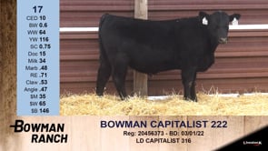 Lot #17 - OUT --- BOWMAN CAPITALIST 222