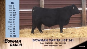 Lot #16 - BOWMAN CAPITALIST 241