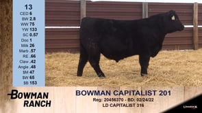 Lot #13 - BOWMAN CAPITALIST 201