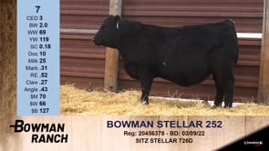 Lot #7 - BOWMAN STELLAR 252