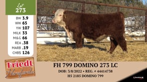 Lot #273 - FH 799 DOMINO 273 LC