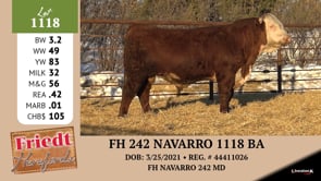 Lot #1118 - FH 242 NAVARRO 1118 BA