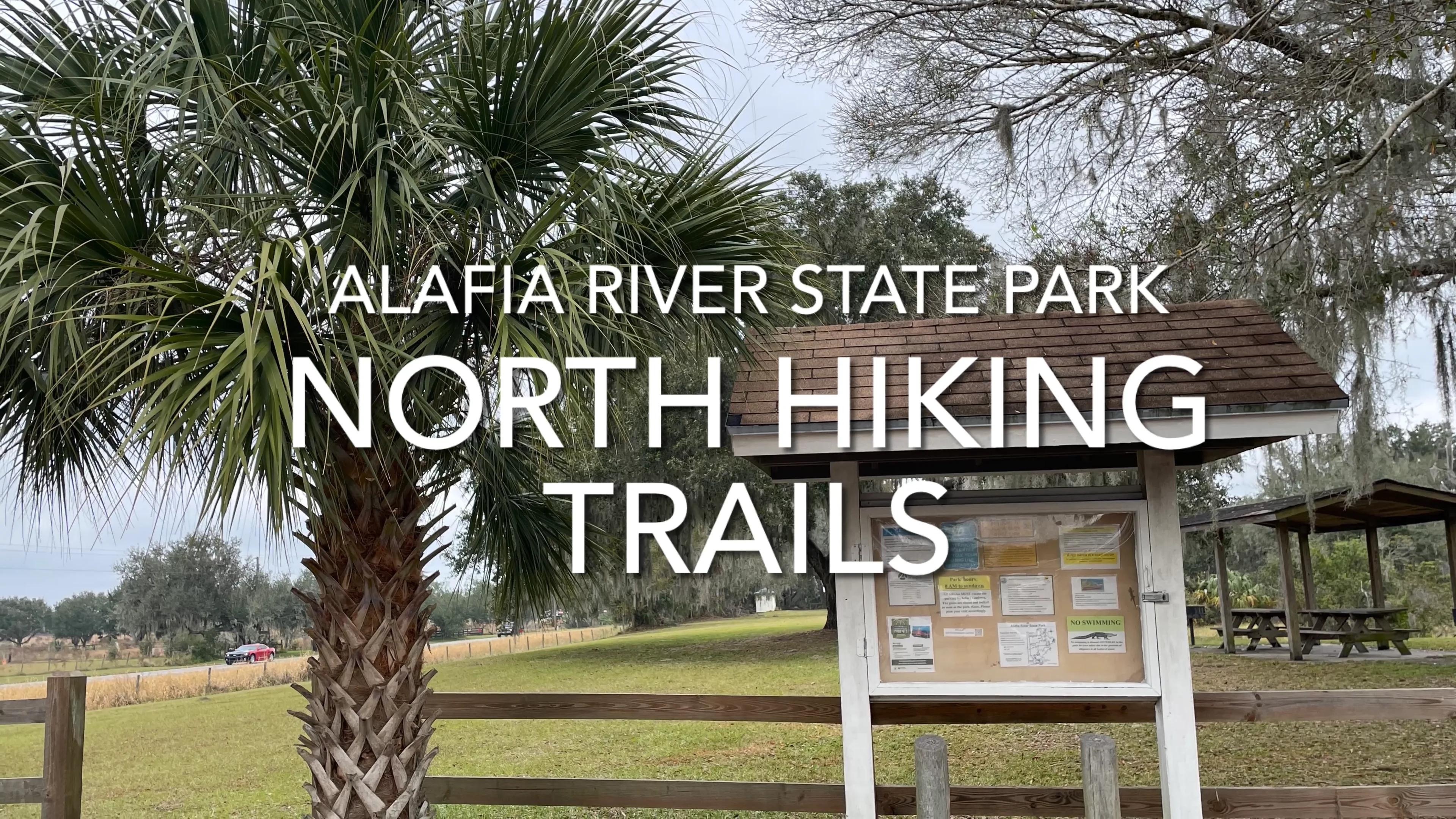 Alafia river clearance state park hiking