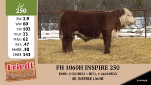 Lot #250 - FH 0245 DOMINO 245 ET