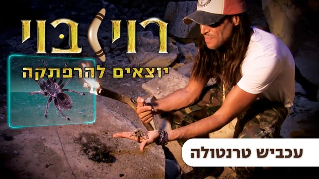 רוי בוי יוצאים להרפתקה - האוצר החבוי | יוקיד