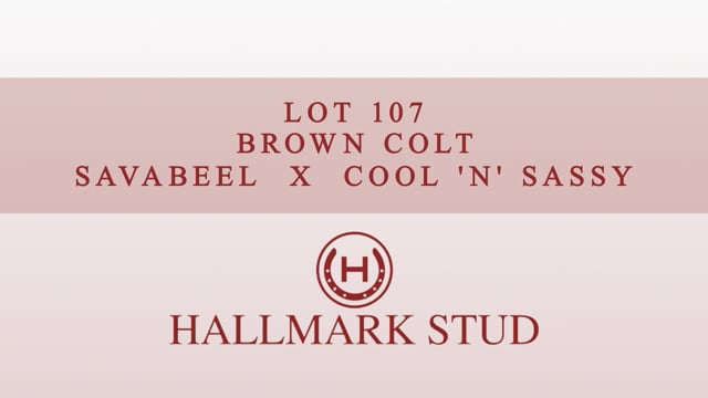 Lot 107