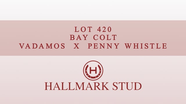 Lot 420