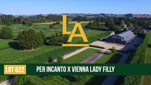 Vienna Lady - Per Incanto